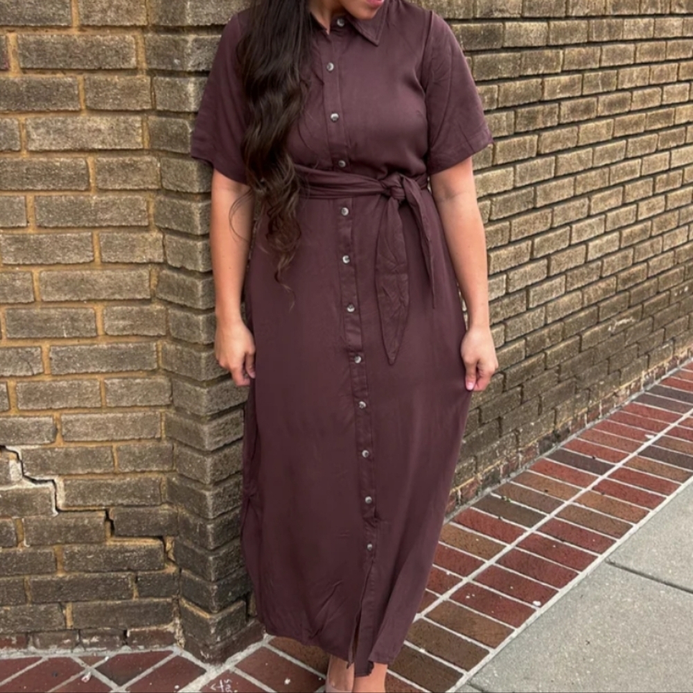 NWT Calista Brown button-down dress